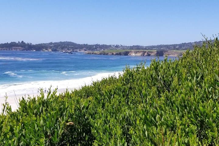 Exploring California’s Coastal Gems: Monterey, Carmel, and 17-Mile Drive Private Tour photo 5