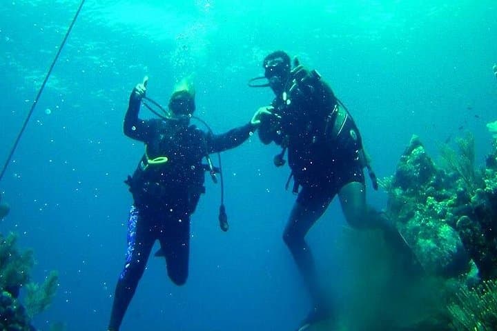 Roatan 2-Tank Fun Dive on the Mesoamerican Reef — Boat Trip with Hotel Transport photo 1