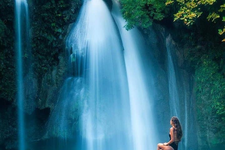 Oslob Whale Shark Swim & Kawasan Canyoneering: One-Day Adventure from Cebu