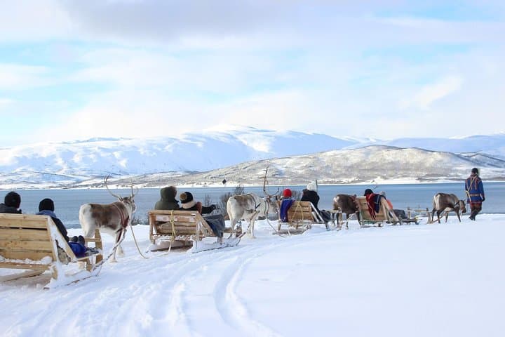 Reindeer Sledding & Sami Culture Near Tromsø: Short Sleigh Ride and Joik Experience