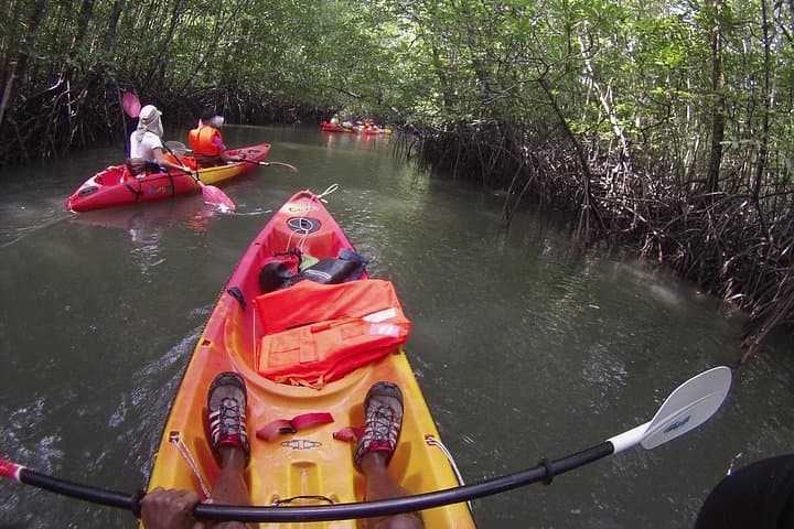 Langkawi Mangrove Kayaking: Kilim River Guided Kayak Tour with Fish Farm Lunch photo 1