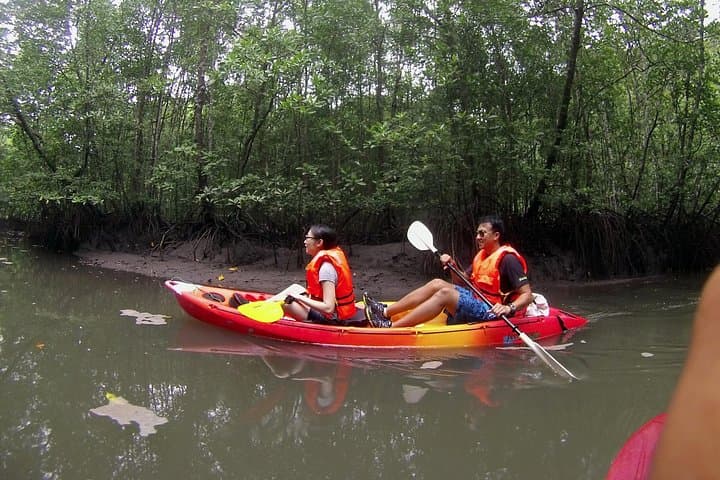 Langkawi Mangrove Kayaking: Kilim River Guided Kayak Tour with Fish Farm Lunch photo 3