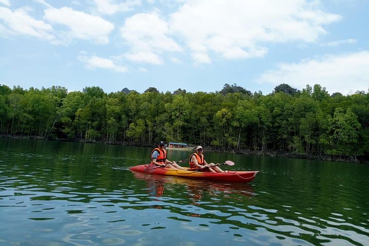 Langkawi Mangrove Kayaking: Kilim River Guided Kayak Tour with Fish Farm Lunch photo 4