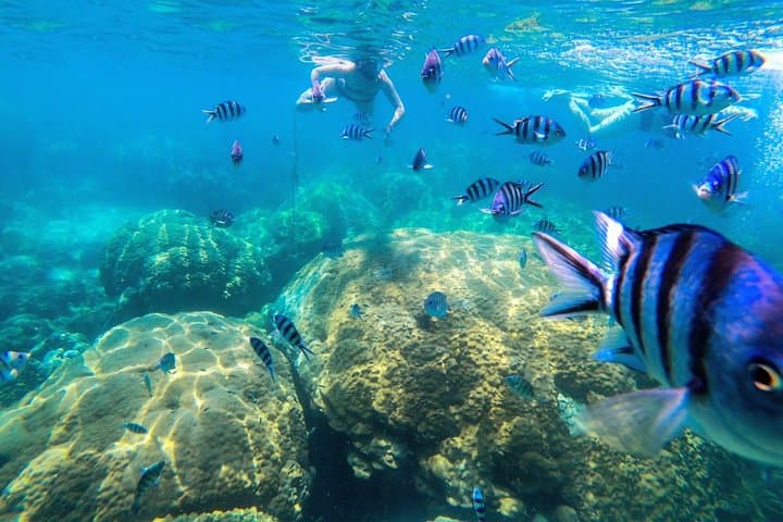 Ang Thong Marine Park Speedboat Day Trip from Koh Samui: Snorkel, Kayak & Viewpoint Hike photo 4