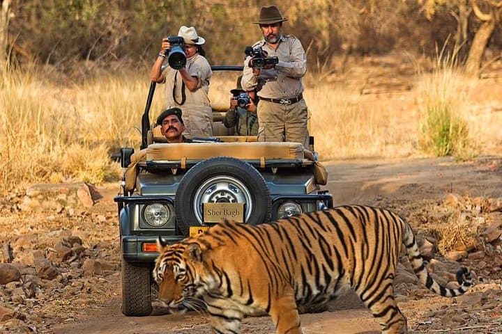 Golden Triangle & Ranthambhore: 7-Day Delhi–Agra–Jaipur Tiger Safari photo 1