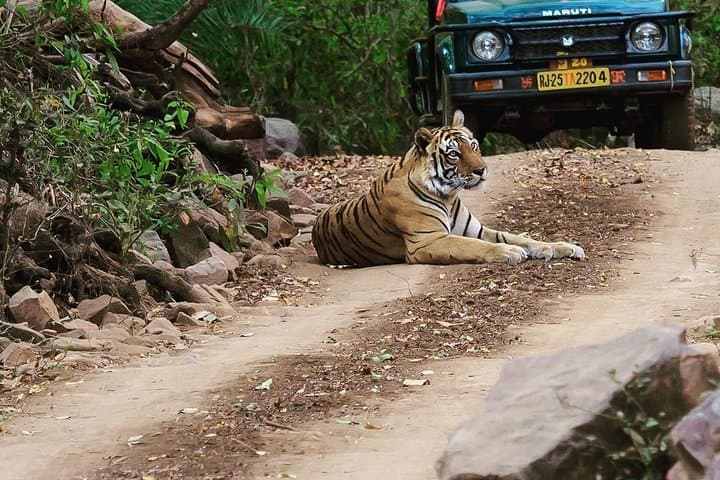 Golden Triangle & Ranthambhore: 7-Day Delhi–Agra–Jaipur Tiger Safari photo 3