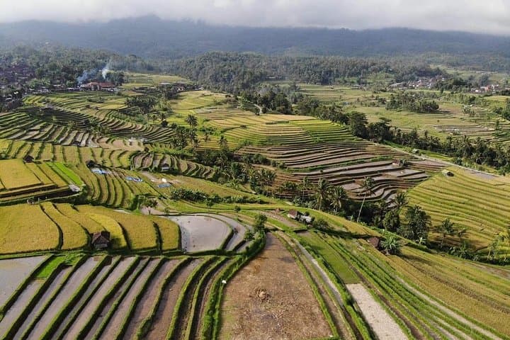 UNESCO World Heritages Tour — Bali Temples, Rice Terraces & Waterfall Day Trip photo 2