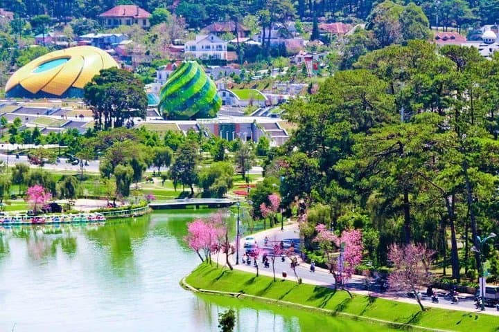 Dalat City Tour: Cable Car, Datanla Waterfall & Crazy House in Vietnam's Highlands