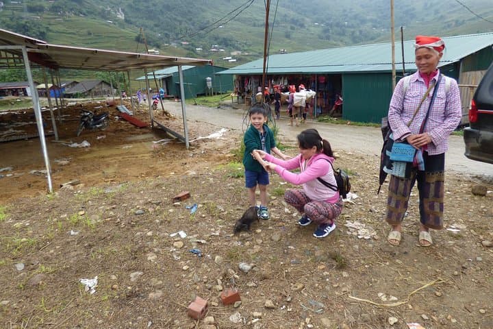 Overnight Train to Sapa: Trek Lao Chai & Ta Van Ethnic Villages photo 5