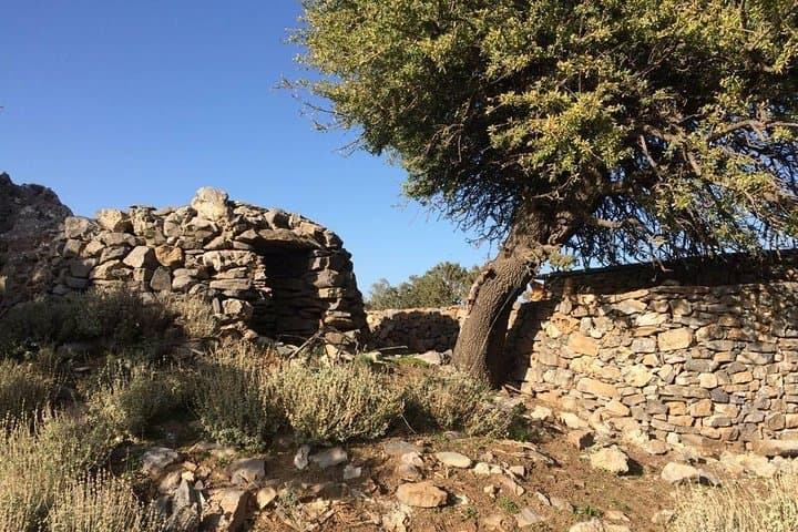 White Mountains Safari from Chania: Off-Road to Mitato & Therisso