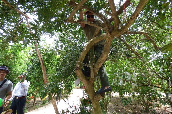Ben Tre Mekong Delta Day Tour: Sampans, Orchards & Coconut Candy photo 6