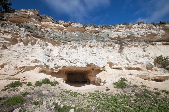 Full-Day Robben Island & Cape Town Private Tour — Robben Island, Bo-Kaap & Table Mountain photo 4