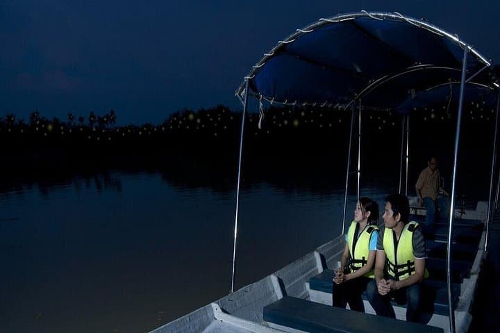 Kuala Selangor Firefly Boat Tour: Evening Wildlife Cruise with Seafood Dinner photo 4