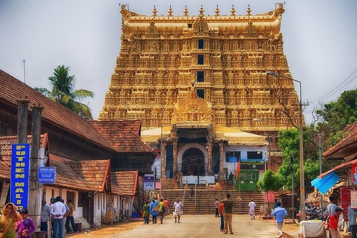 8-Day Kerala Private Tour: Kochi, Munnar, Periyar, Alleppey & Kovalam photo 5