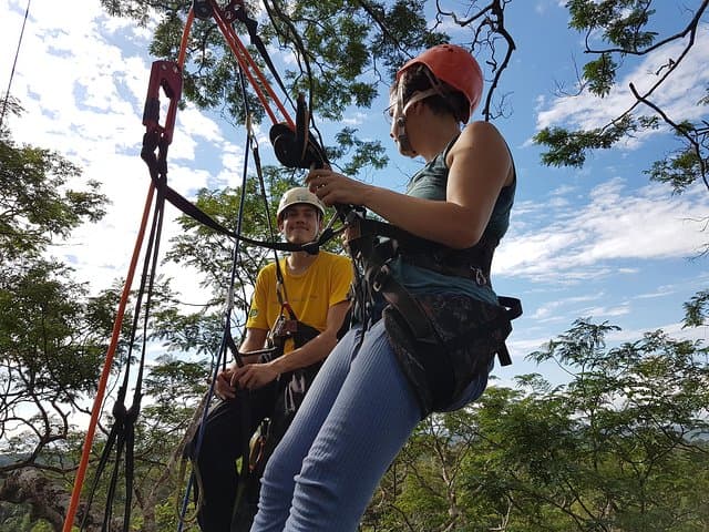 40-Meter Angelim Tree Climb in the Amazon (Manaus) photo 2