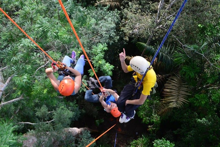 40-Meter Angelim Tree Climb in the Amazon (Manaus) photo 4