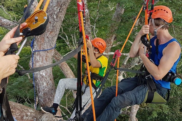40-Meter Angelim Tree Climb in the Amazon (Manaus) photo 5
