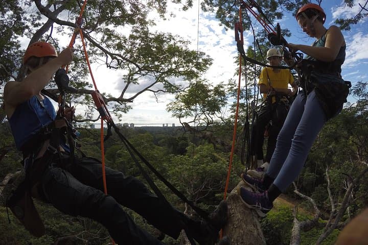 40-Meter Angelim Tree Climb in the Amazon (Manaus) photo 6