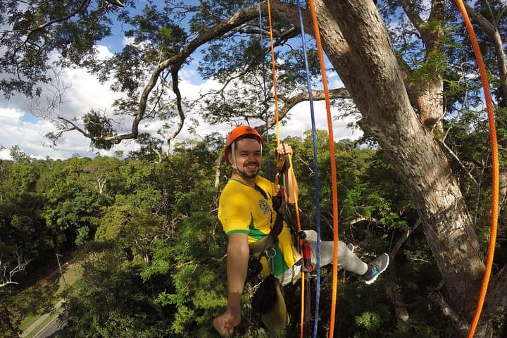 40-Meter Angelim Tree Climb in the Amazon (Manaus)