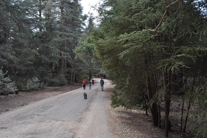 Three-Day Active Trekking from Fez: Atlas Mountains & Berber Villages photo 5