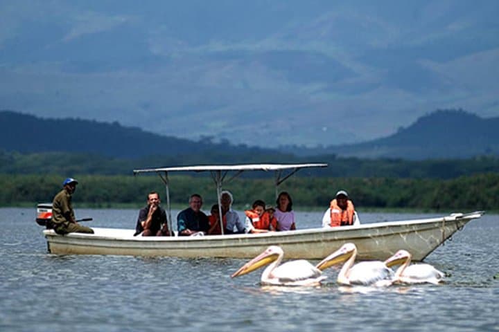 Lake Nakuru Day Safari and Naivasha Boat Ride: Private Tour from Nairobi photo 5