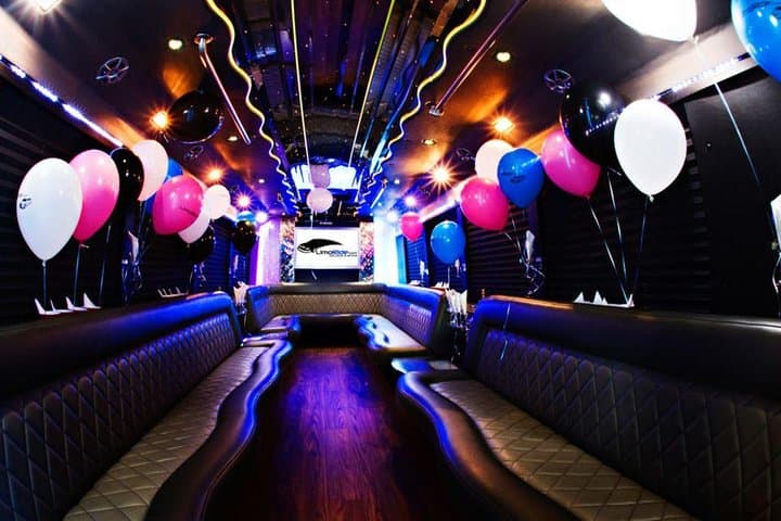 Vilnius Private Party Bus with Dancer — 3-Hour City Tour