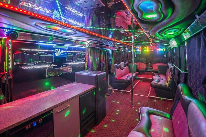 Vilnius Private Party Bus with Dancer — 3-Hour City Tour photo 3