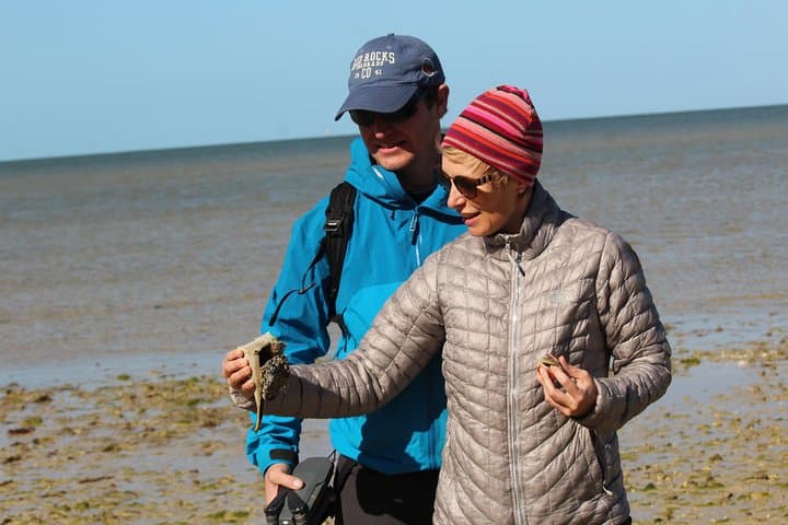 Small-Group Everglades Expedition: Boat & Barrier-Island Walk in the Ten Thousand Islands