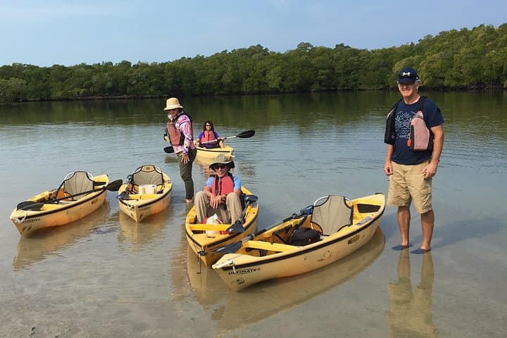 Boat-Assisted Kayak & Beach Walk: Everglades Eco Tour from Everglades City photo 6