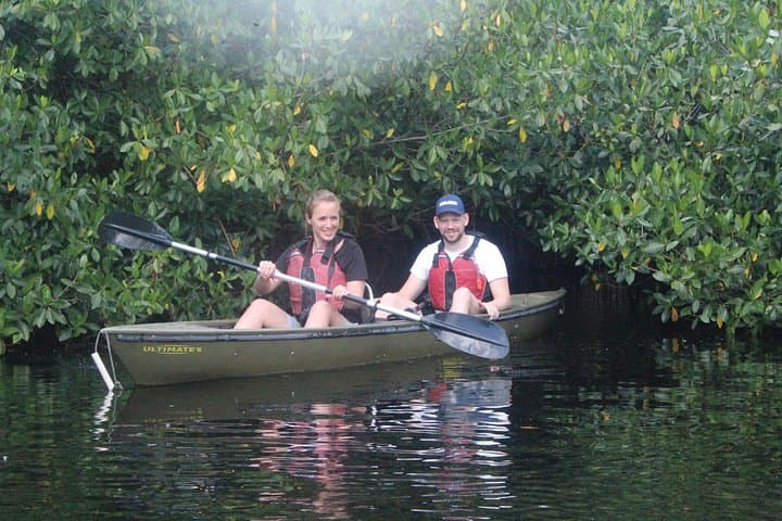 Paddle the Everglades Mangrove Tunnels: 3-Hour Guided Kayak Eco Tour photo 2