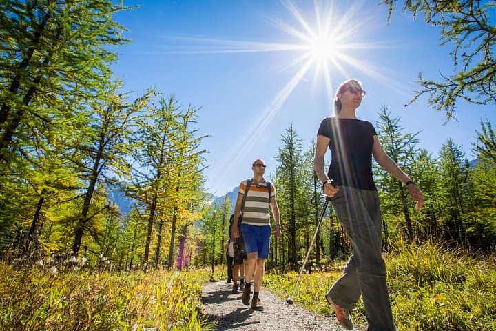 Banff Guided Classic Hikes with Lunch — Larch Valley, Plain of Six Glaciers & More photo 3