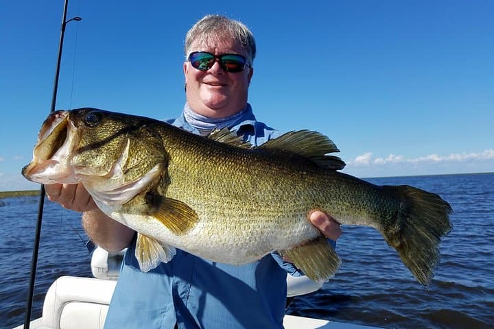 Lake Okeechobee Bass Fishing Charter from Fort Myers — Guided Trip to Catch Trophy Largemouth photo 5
