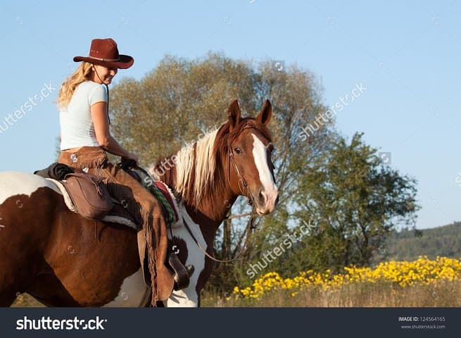 Glenwood Canyon 2-Hour Horseback Ride Along the Colorado River photo 3