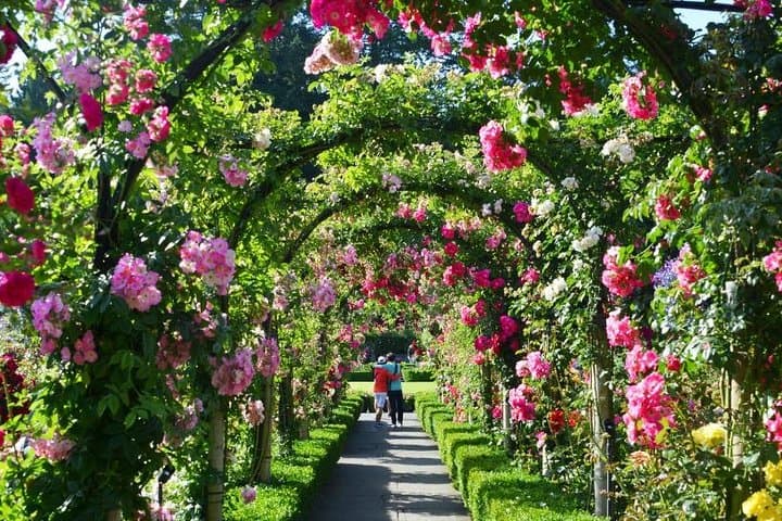 Ultimate Victoria Experience: Butchart Gardens, City Sights & Whale Watching photo 4