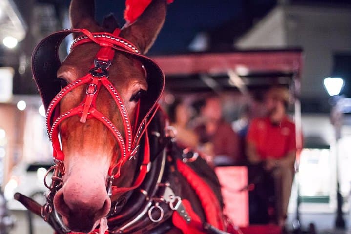 New Orleans Haunted Carriage Tour: Small-Group Ghosts & French Quarter Stories photo 3