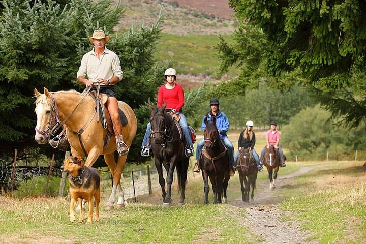 Half-Day Walter Peak Horse Trek and TSS Earnslaw Cruise from Queenstown photo 4