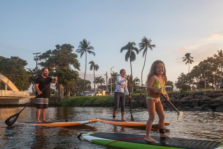 Private Stand Up Paddle Lesson & Turtle Tour on Anahulu Stream, Haleiwa