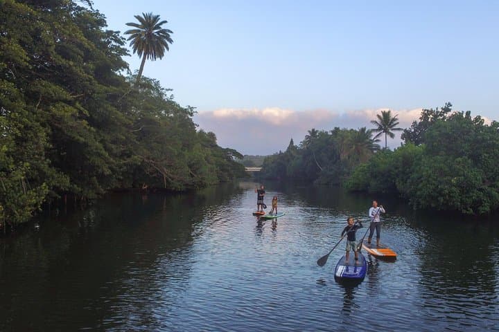 Private Stand Up Paddle Lesson & Turtle Tour on Anahulu Stream, Haleiwa photo 2