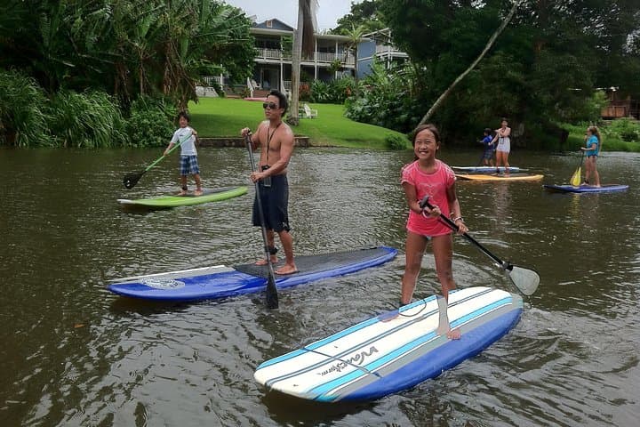 Private Stand Up Paddle Lesson & Turtle Tour on Anahulu Stream, Haleiwa photo 4