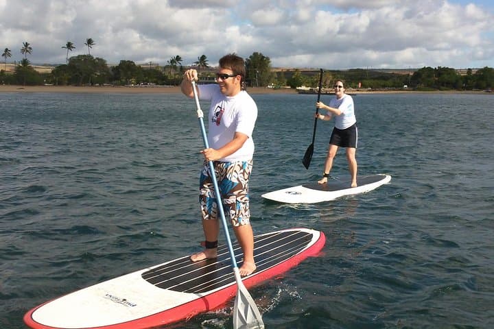 Private Stand Up Paddle Lesson & Turtle Tour on Anahulu Stream, Haleiwa photo 6