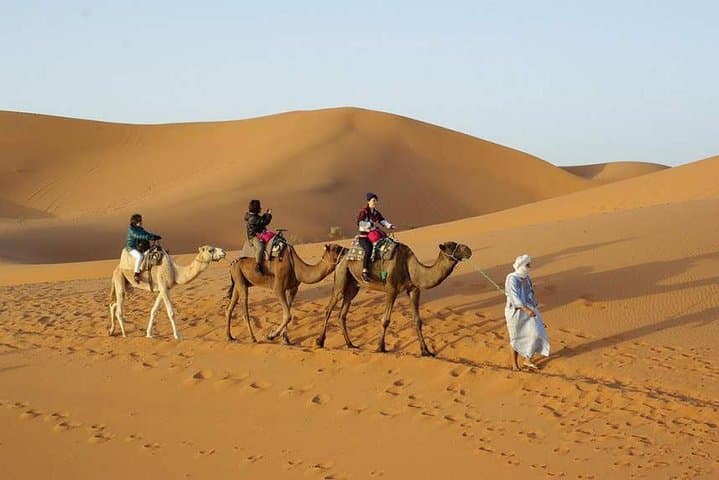 3-Day Merzouga Desert Circuit: Fes to Merzouga to Marrakech via Atlas & Todra photo 2