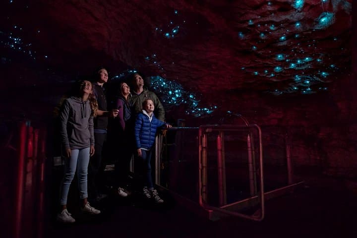 Te Anau Glow Worm Caves Tour: Lake Cruise to Cavern Glowworm Experience photo 3