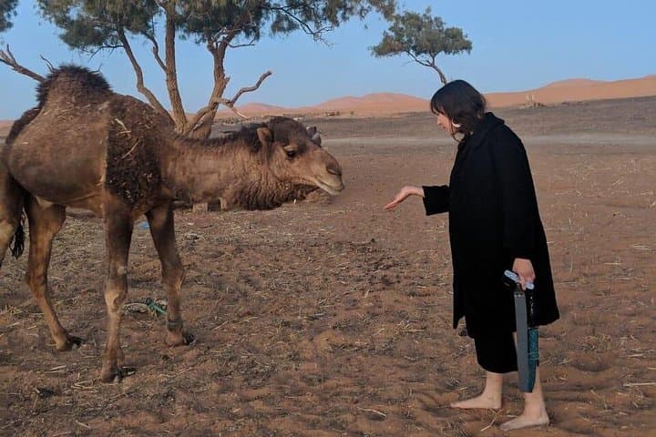 3-Day Fes to Merzouga Desert Tour: Erg Chebbi Camel Trek & Nomad Camp photo 4