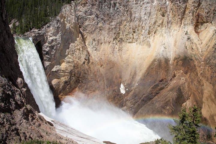 Best of Yellowstone — Full-Day Guided Wildlife Safari from Jackson Hole photo 5