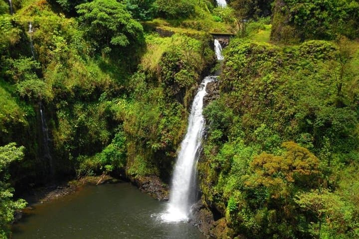 Road to Hana: Black Sand Beach, Waterfalls & Turtles — Day Tour from Kahului