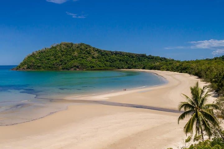 Daintree Rainforest & Cape Tribulation Day Tour from Cairns — Rainforest Meets Reef photo 4