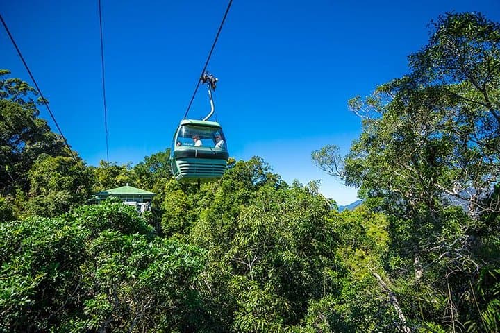 Skyrail Rainforest Cableway Day Trip: Cairns to Kuranda Gondola & Scenic Rail photo 2