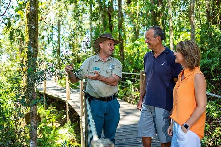 Kuranda Scenic Railway & Skyrail Day Trip from Port Douglas — Rainforest Rail and Cableway Adventure photo 2