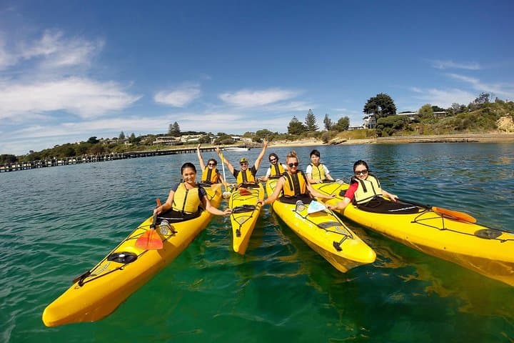 Mornington Peninsula Kayak Tour — Paddle the Point Nepean Dolphin Sanctuary