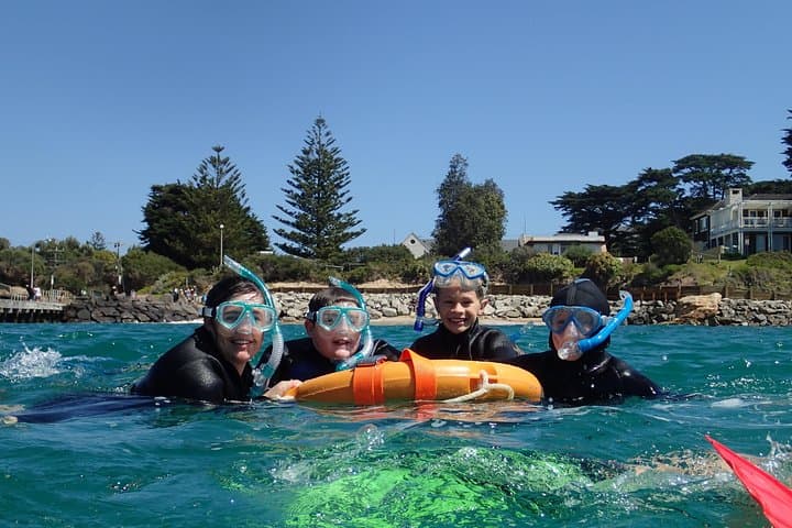 Snorkel with Weedy Sea Dragons in Port Phillip Bay — Mornington Peninsula photo 2
